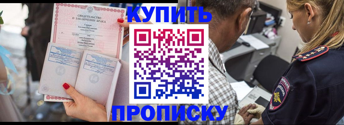 прописка законно в Заринске